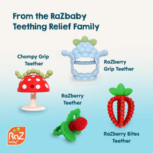 RaZbaby Soft Silicone Infant & Baby 3M+ Teether Toy Massaging Bristles Teething Relief Pacifier