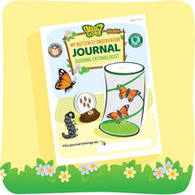 Insect Lore Raise and Release Butterfly Garden Kit