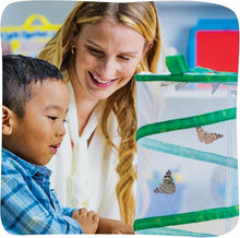 Insect Lore Raise and Release Butterfly Garden Kit