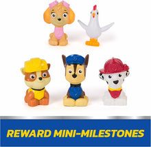 Paw Patrol Rewards Box Gift Pack