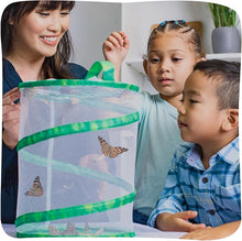 Insect Lore Butterfly Garden Kit – 10 Live Caterpillars