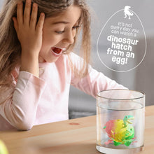 Dan&Darci Dinosaur Hatching Surprise Eggs for Kids