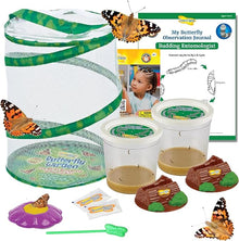 Insect Lore Butterfly Garden Kit – 10 Live Caterpillars
