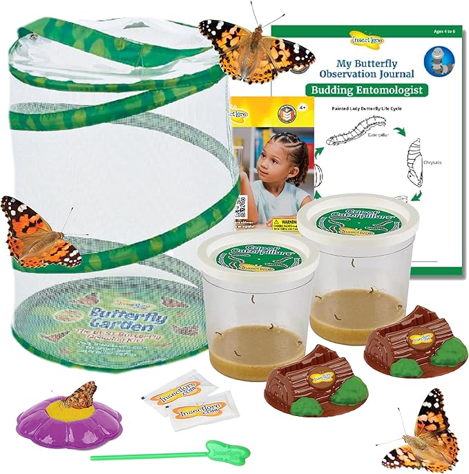 Insect Lore Butterfly Garden Kit – 10 Live Caterpillars