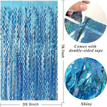 Metallic Tinsel Foil Fringe Curtain Party Backdrop