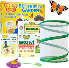 Insect Lore Raise and Release Butterfly Garden Kit